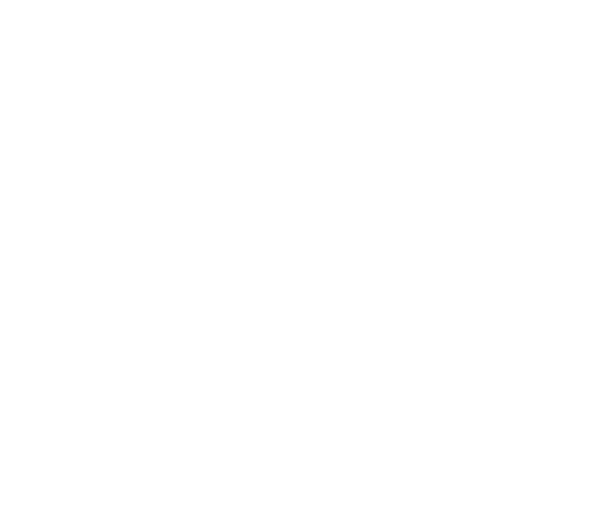 NAS Media